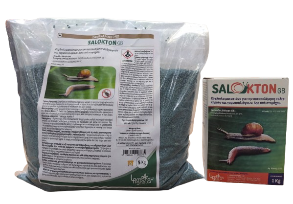 SALOKTON GB